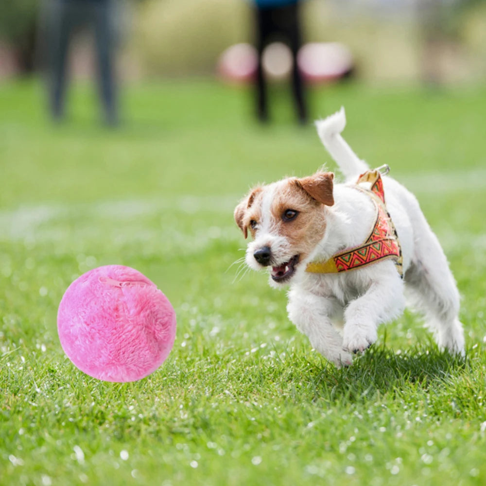 Active Rolling Ball (4 Colours/Set)