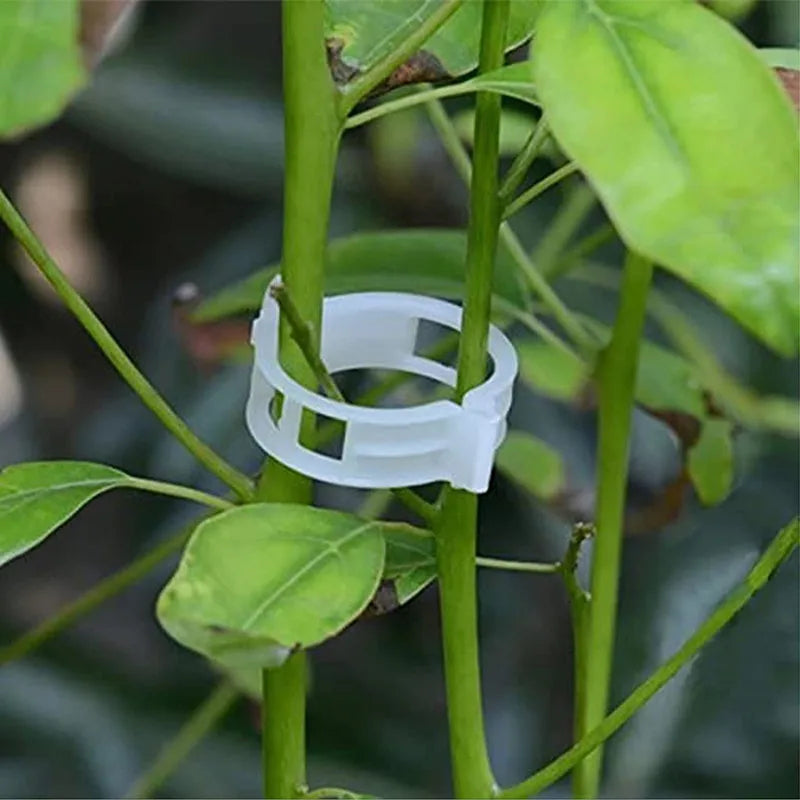 Plant Support Clips