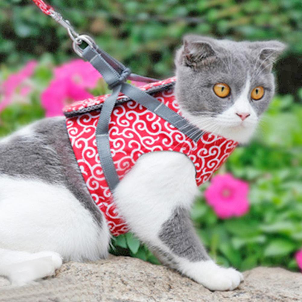 Cat Vest Harness And Leash Set To Outdoor Walking