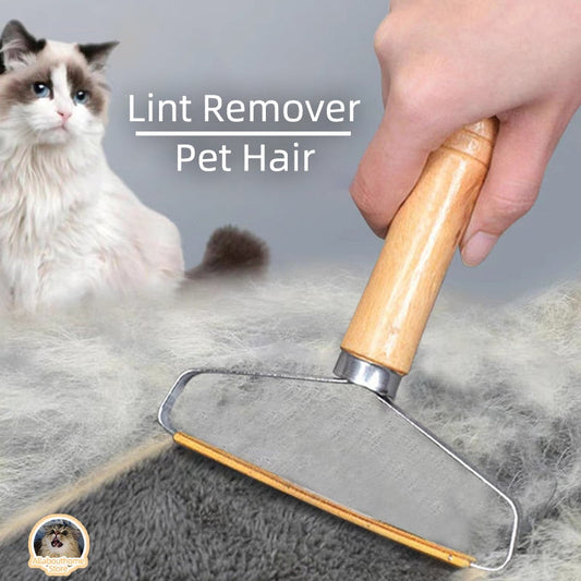 Portable Lint Remover