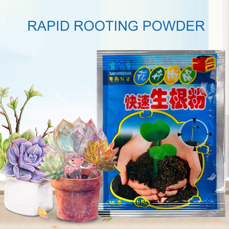 Growth Rooting Powder Plus (Original Product)